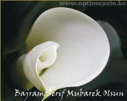 RAMAZANSKI BAJRAM 1434. H.G.